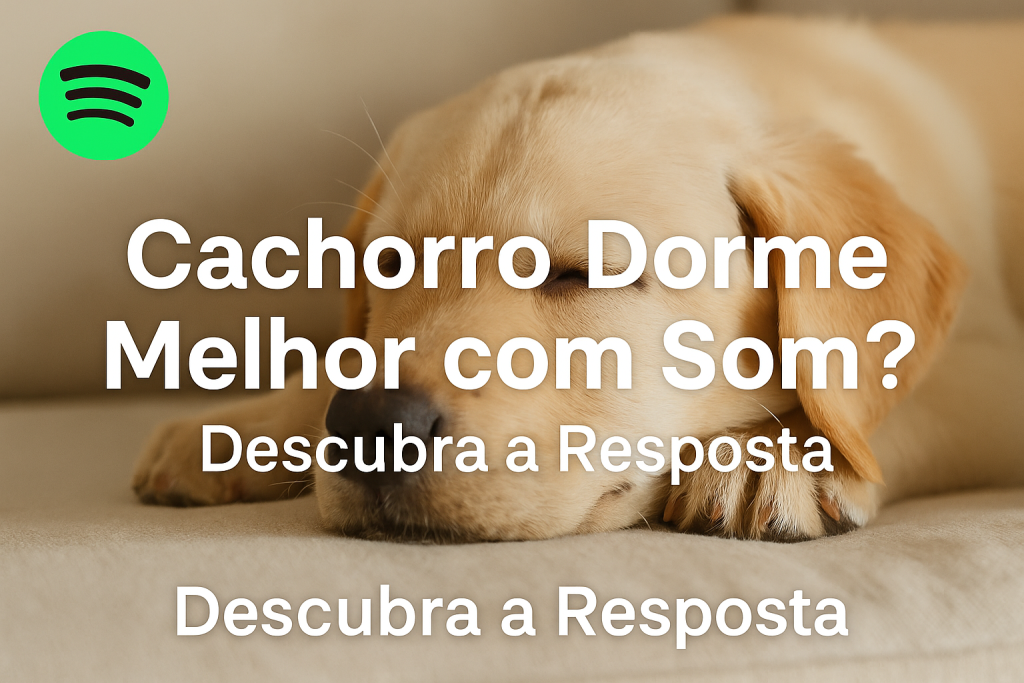 cachorro dorme melhor com som